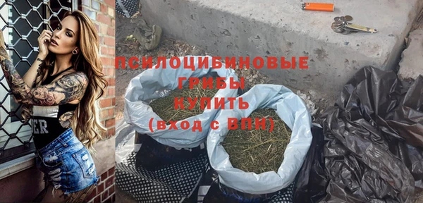 ПСИЛОЦИБИНОВЫЕ ГРИБЫ Верхний Тагил