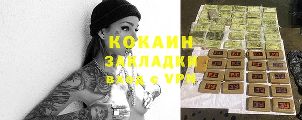 винт Верея