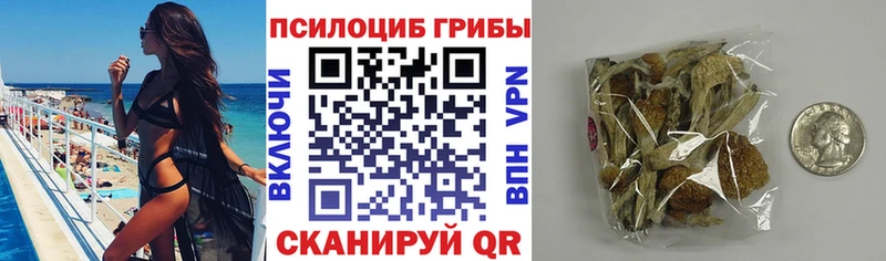 Галлюциногенные грибы ЛСД  кракен tor  Железногорск-Илимский 